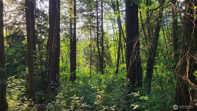 9717 254th Street E, Graham, WA 98338