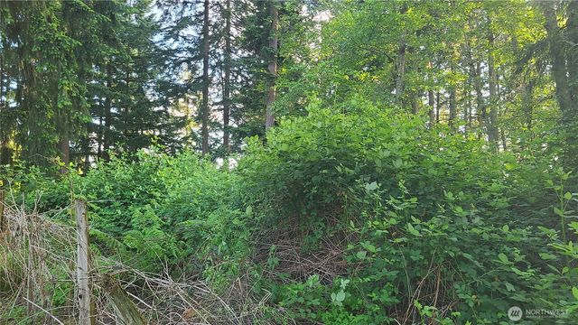 9717 254th Street E, Graham, WA 98338