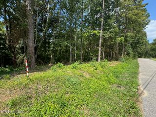 Old Wolf River Rd, Jamestown, TN 38556