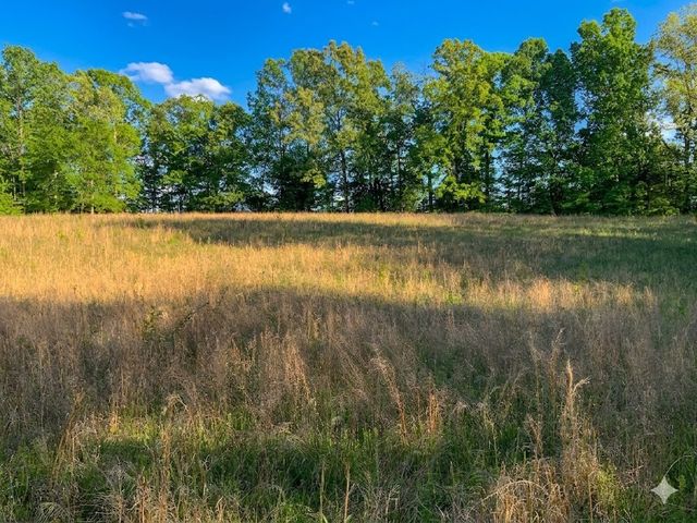 0 Upper Standing Rock Road, Dover, TN 37058