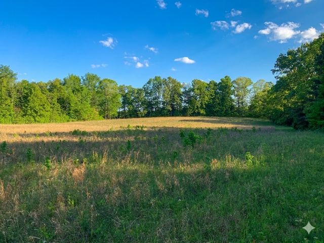 0 Upper Standing Rock Road, Dover, TN 37058