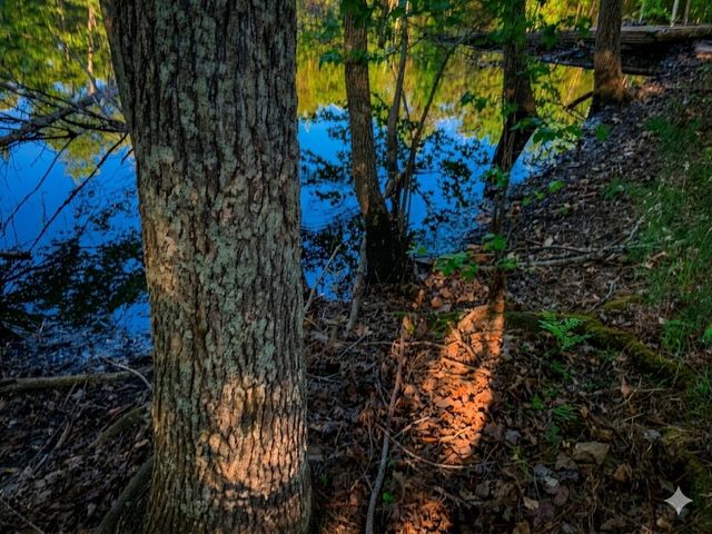 0 Upper Standing Rock Road, Dover, TN 37058