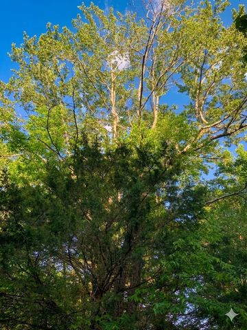 0 Upper Standing Rock Road, Dover, TN 37058