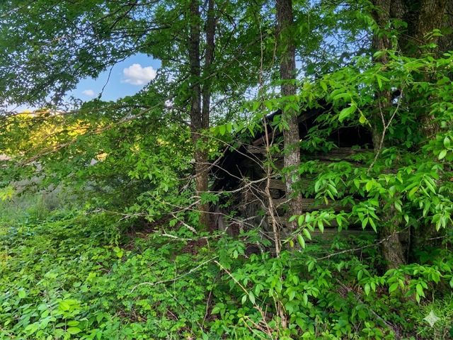 0 Upper Standing Rock Road, Dover, TN 37058