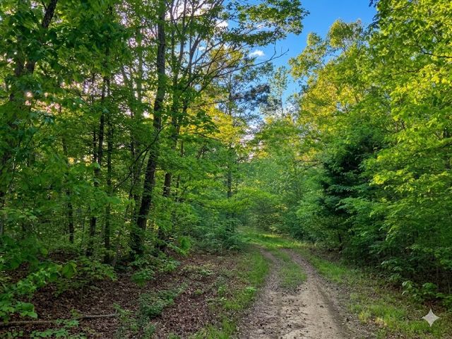0 Upper Standing Rock Road, Dover, TN 37058