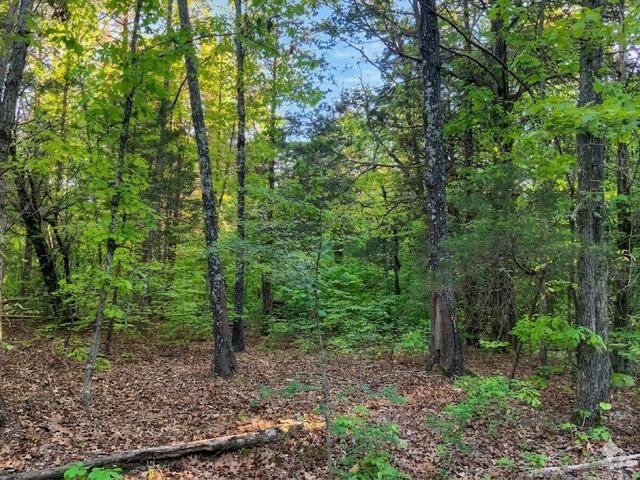 0 Upper Standing Rock Road, Dover, TN 37058