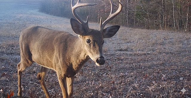 0 Upper Standing Rock Road, Dover, TN 37058
