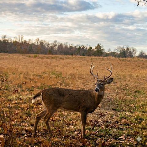 0 Upper Standing Rock Road, Dover, TN 37058