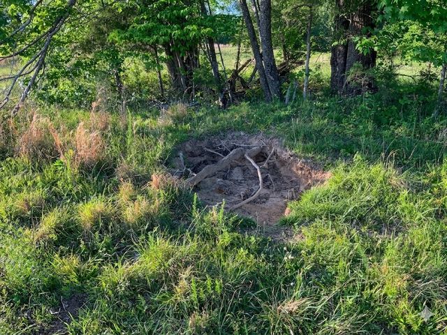 0 Upper Standing Rock Road, Dover, TN 37058
