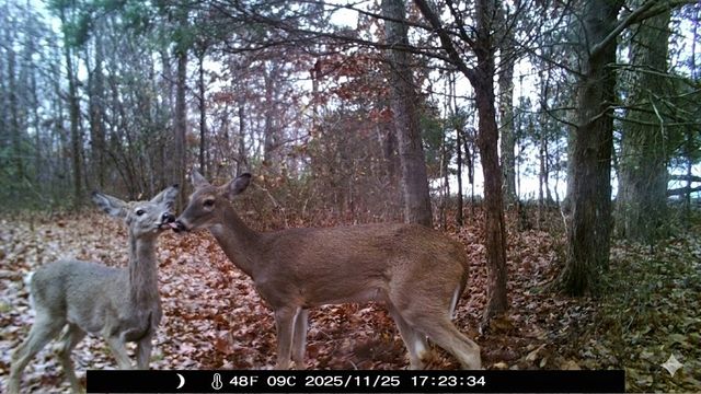 0 Upper Standing Rock Road, Dover, TN 37058