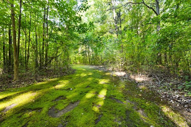 22939 Sherwood Road, Sumpter Twp, MI 48111