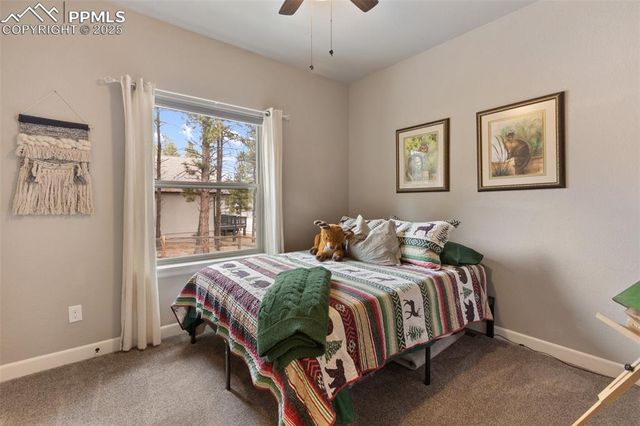 1326 Firestone Drive, Woodland Park, CO 80863