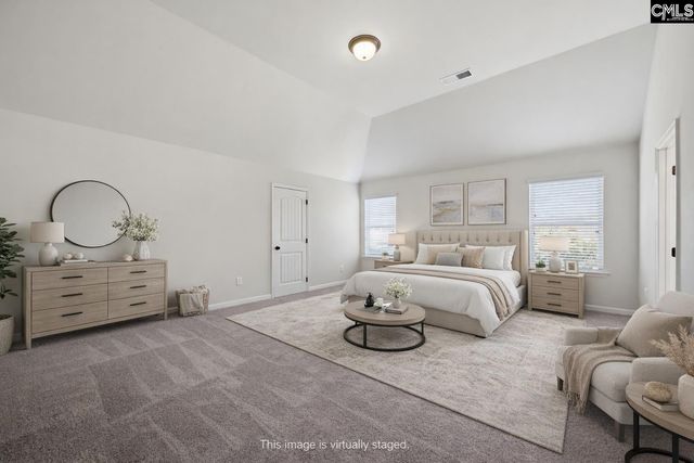 233 Blue Indigo Circle, Irmo, SC 29212