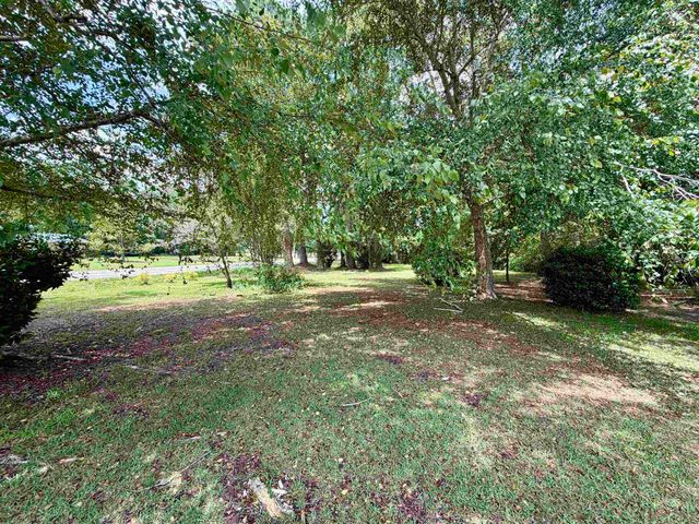 3240 Mount Olive Rd., Loris, SC 29569