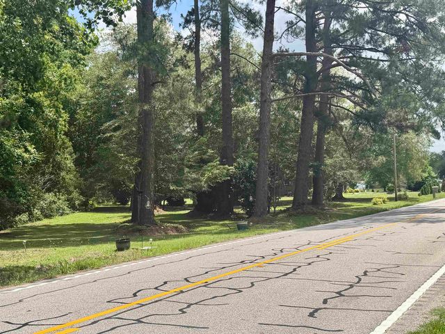 3240 Mount Olive Rd., Loris, SC 29569