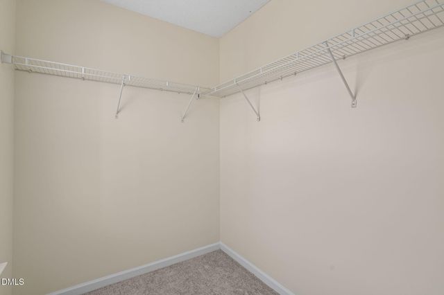 513 Thistlegate Trail, Raleigh, NC 27610