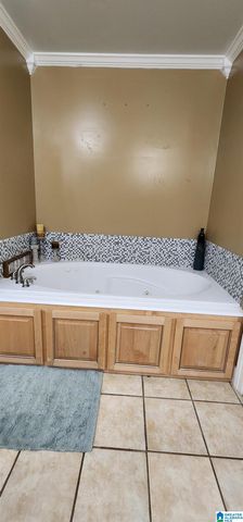 755 COUNTY HIGHWAY 24, Springville, AL 35146