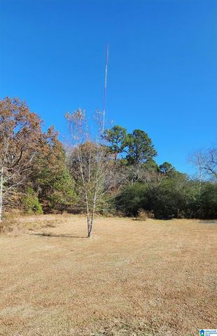 755 COUNTY HIGHWAY 24, Springville, AL 35146