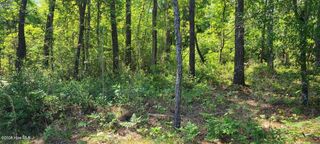 24 & 25 Riverland Drive, Currie, NC 28435