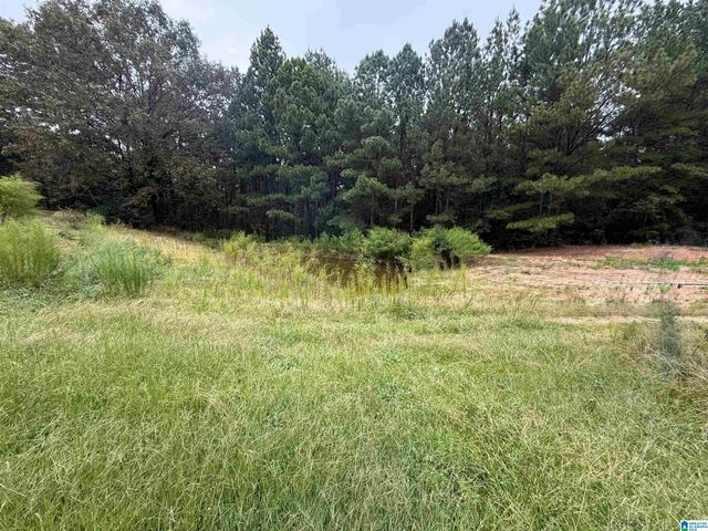 76 SLEEPY HOLLOW ROAD, Hayden, AL 35079