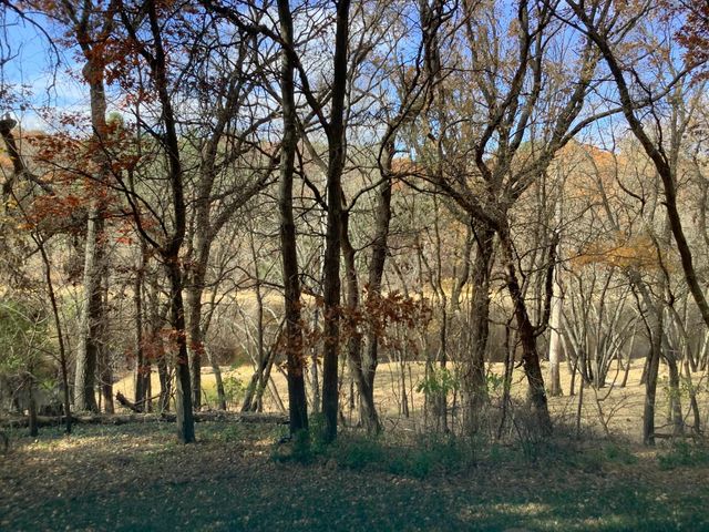 31522 Rum River Drive NE, Cambridge, MN 55008