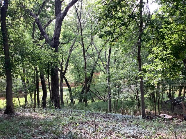 31522 Rum River Drive NE, Cambridge, MN 55008