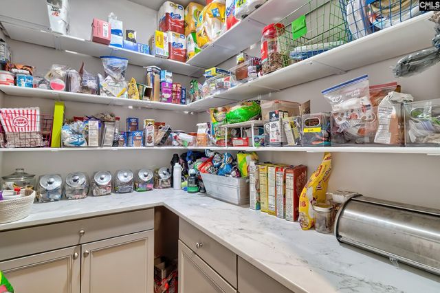 503 Regal Hill Drive, Lexington, SC 29072