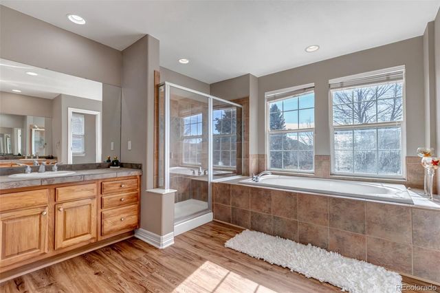 3188 Soaring Eagle Lane, Castle Rock, CO 80109