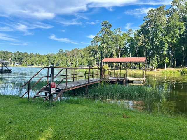 771 Calhoun Drive, Abbeville, AL 36310