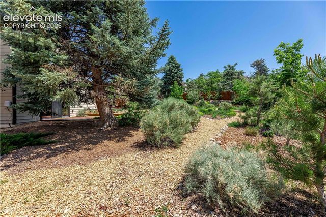 208 Elm Court, Castle Rock, CO 80104