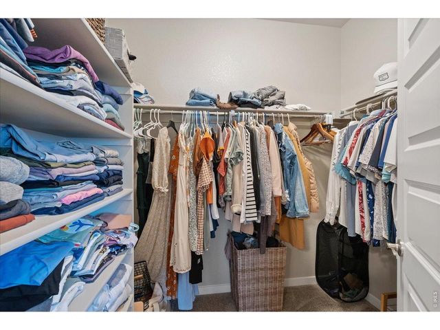 1840 Holloway Dr, Windsor, CO 80550