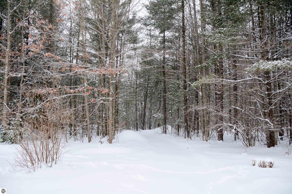 Image 9 of property listing at 6622 Walton Road, Kingsley, MI 49649