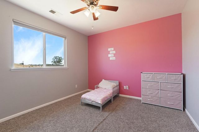 2226-2170 Grapevine Gulch Rd, Ione, CA 95640