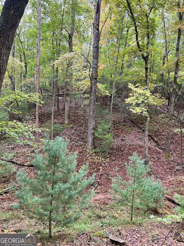 0 Lower Gap Road W16, Sautee Nacoochee, GA 30571