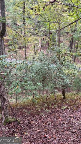 0 Lower Gap Road W16, Sautee Nacoochee, GA 30571