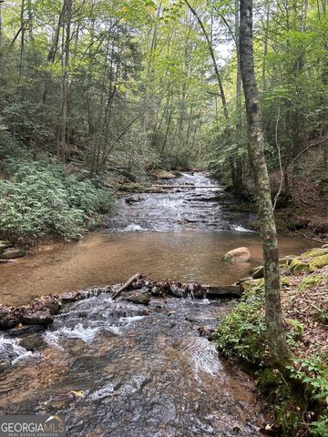 0 Lower Gap Road W16, Sautee Nacoochee, GA 30571
