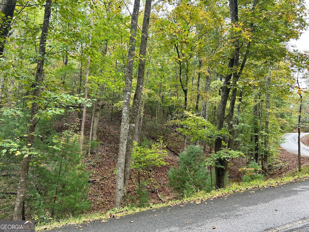 0 Lower Gap Road W16, Sautee Nacoochee, GA 30571
