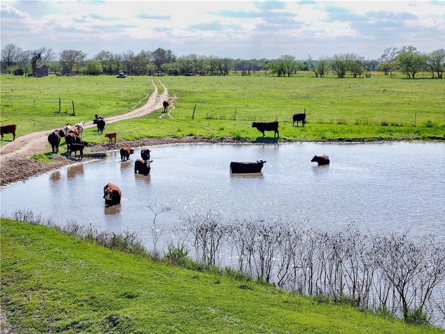 11581 County Road 419, Navasota, TX 77868