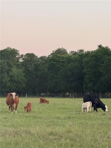 11581 County Road 419, Navasota, TX 77868