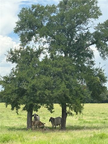 11581 County Road 419, Navasota, TX 77868