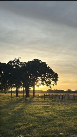 11581 County Road 419, Navasota, TX 77868