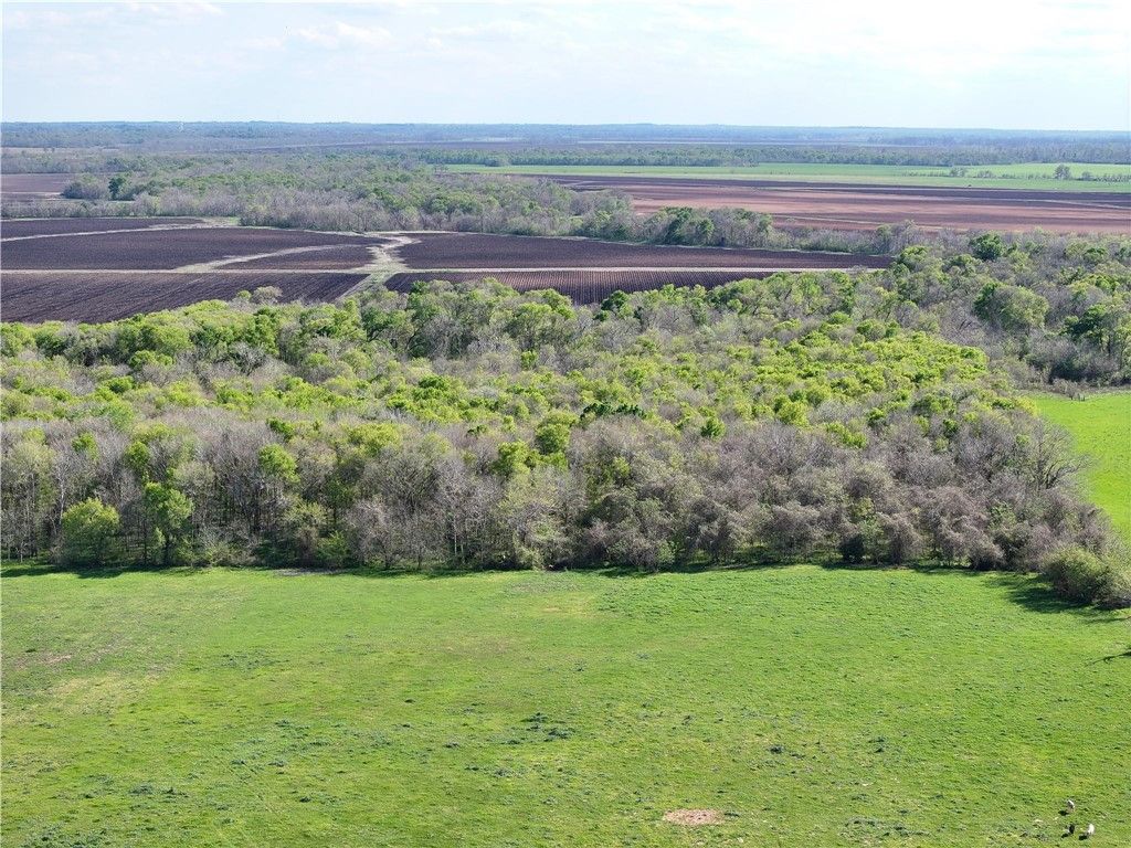 11581 County Road 419, Navasota, TX 77868 — photo 5