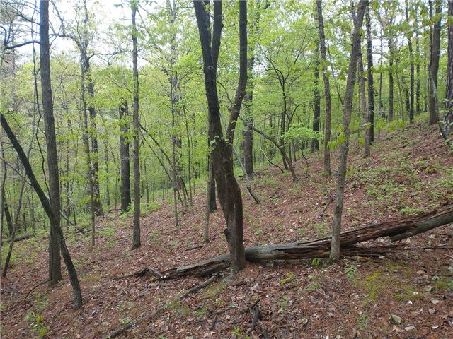 391 County Road 1486, Eureka Springs, AR 72632