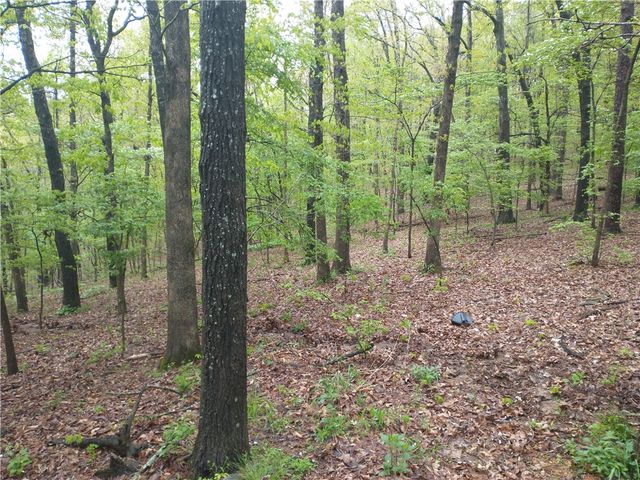 391 County Road 1486, Eureka Springs, AR 72632