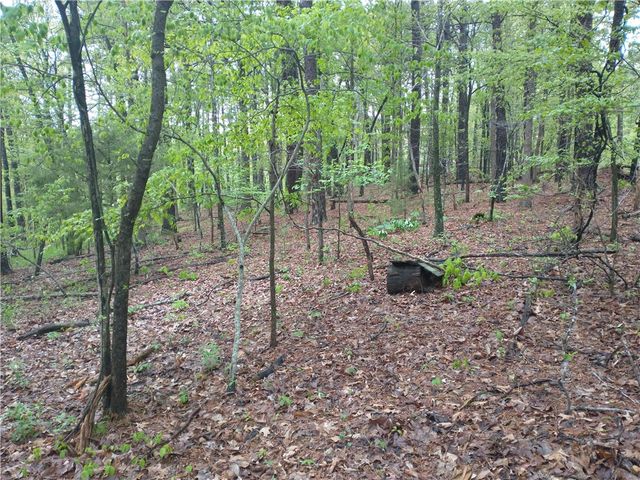 391 County Road 1486, Eureka Springs, AR 72632