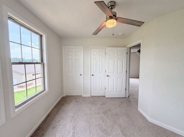 4523 Atkins Rd, Cedar Hill, TN 37032