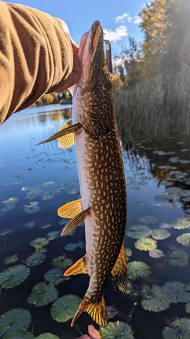 N5978 W ALASKA LAKE ROAD, Algoma, WI 54201