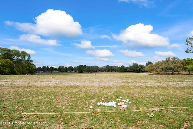 15712 Brookridge Boulevard, Brooksville, FL 34613