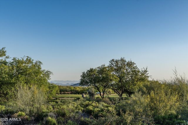 10699 E FERNWOOD Lane, Scottsdale, AZ 85262