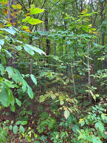 000 Woodland Drive Ne, Kalkaska, MI 49646